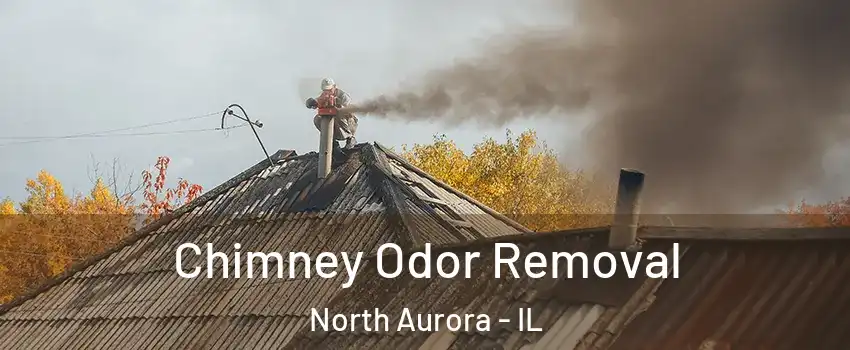  Chimney Odor Removal North Aurora - IL