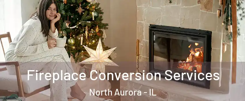  Fireplace Conversion Services North Aurora - IL